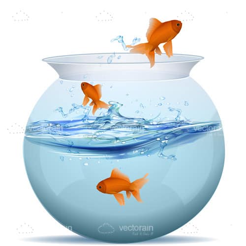 3 Goldfish in a Fish Bowl